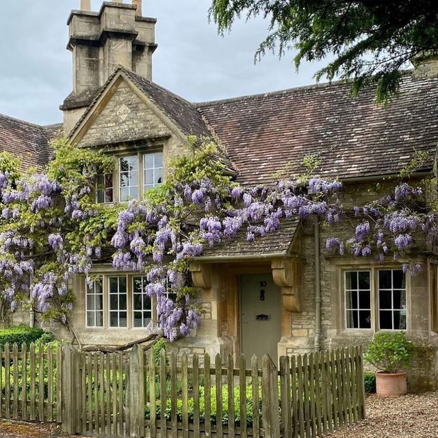 The House That Listened