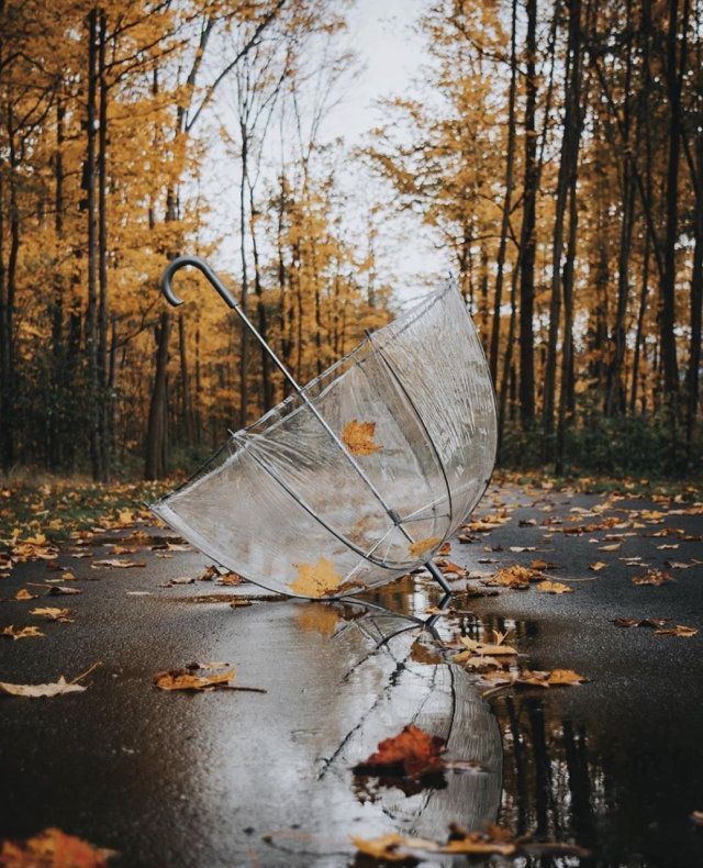 What To Do When the Weather Feels Like Too Much